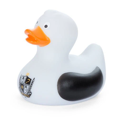 Vale Duck